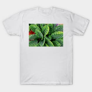 Green Plant T-Shirt